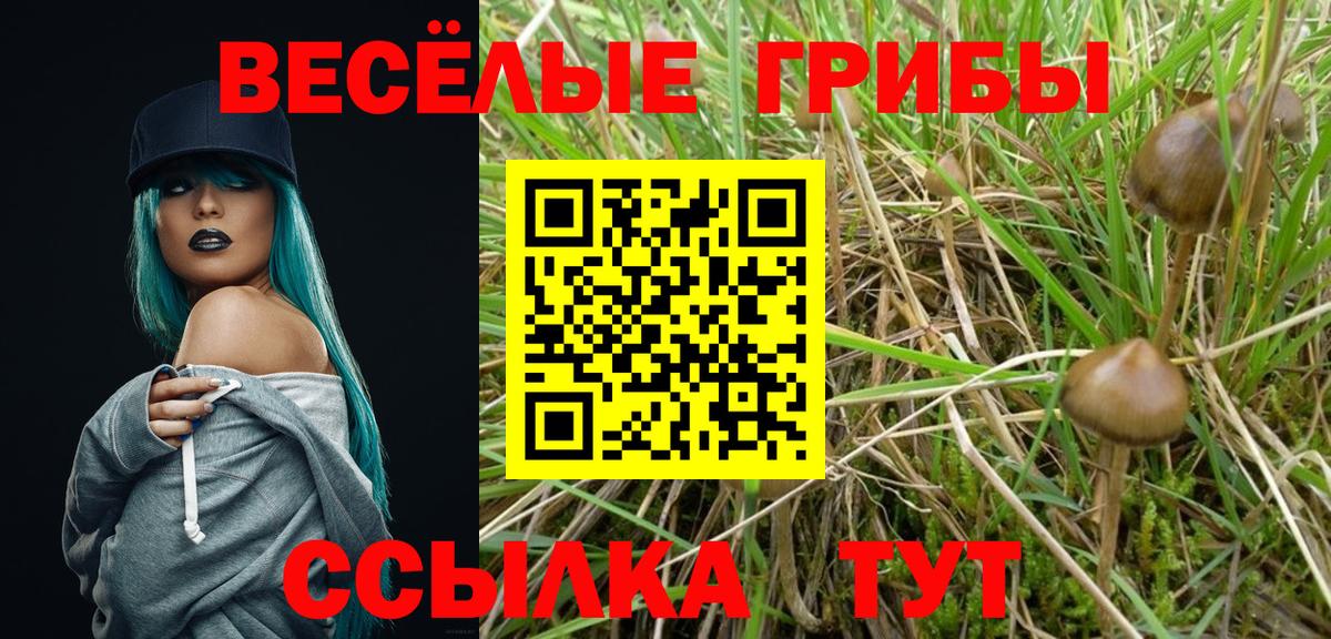  COCAIN Ростов Великий